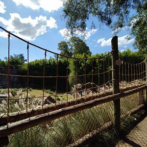 Tiger trail - Temaiken