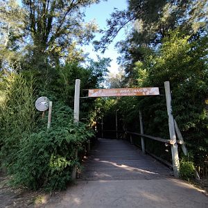 Howler monkey trail - Temaiken