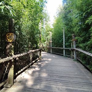 Howler monkey trail - Temaiken