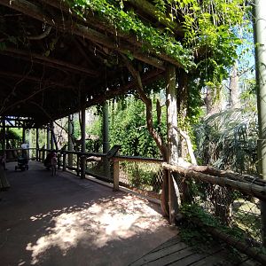 Howler monkey exhibit - Temaiken