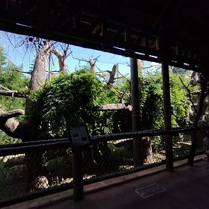 Howler monkey exhibit - Temaiken