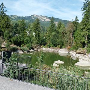 Waldweier and Rossberg