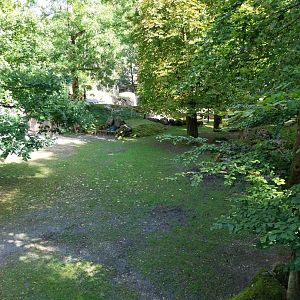 European bison enclosure
