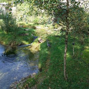 Fish & Bird tour - Eurasian otter enclosure