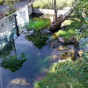Fish & Bird tour - Eurasian otter enclosure