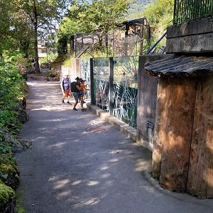 Fish & Bird tour - Eurasian otter enclosure