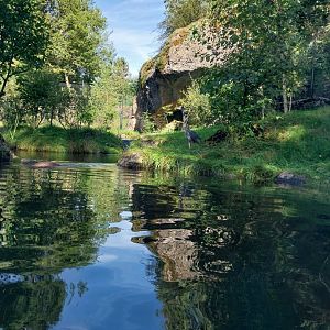 Fish & Bird tour - Eurasian otter enclosure