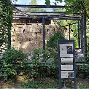 Fish & Bird tour - Waldrapp aviary
