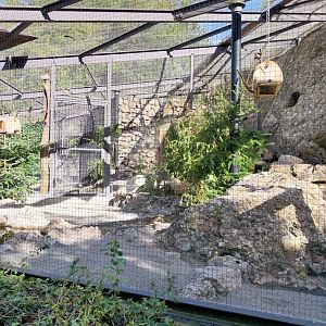 Fish & Bird tour - Mixed species aviary