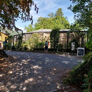 Fish & Bird tour - Bird aviaries