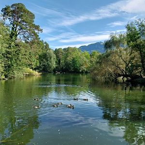 Fish & Bird tour - General view
