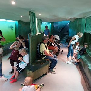 Fish & Bird tour - Aquarium