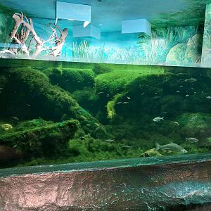 Fish & Bird tour - Aquarium