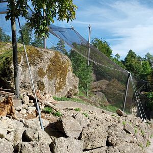 Rock & Forest tour - Bearded vulture aviary