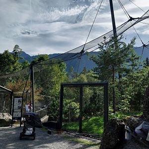 Rock & Forest tour - Bearded vulture aviary