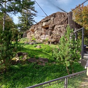 Rock & Forest tour - Bearded vulture aviary