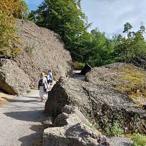 Rock & Forest tour - General view