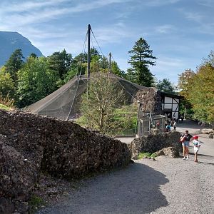 Rock & Forest tour - Bearded vulture aviary