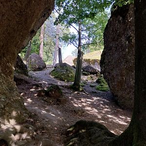 Rock & Forest tour - General view
