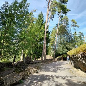 Rock & Forest tour - General view