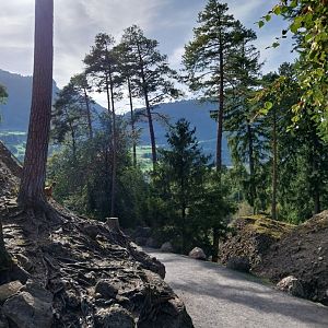Rock & Forest tour - General view