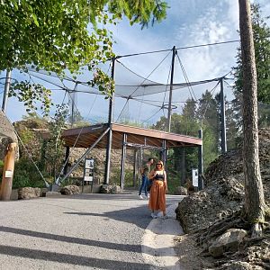 Rock & Forest tour - Owl & raven complex