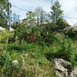 Rock & Forest tour - Owl & raven complex