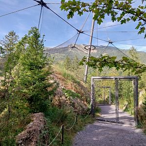 Rock & Forest tour - Owl & raven complex