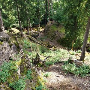 Rock & Forest tour - General view