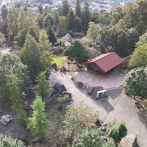 Rock & Forest tour - Observation tower - Alpine ibex enclosure