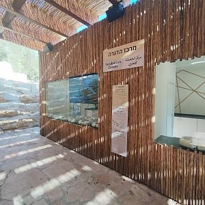 New Incubation Center for Bird of Prey