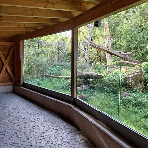 Rock & Forest tour - European wildcat observation cabin