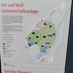 Bear & Wolf tour - map