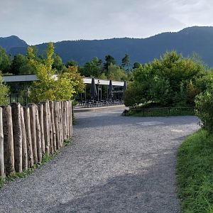 Restaurant Grüne Gans