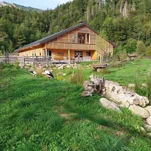 Bear & Wolf tour - Grosswijer hof