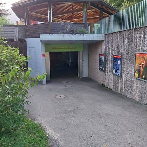 Bear & Wolf tour - Expo Bär und Wolf