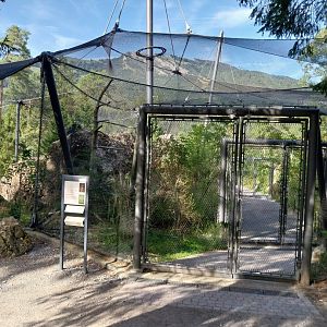 Rock & Forest tour - Owls and raven complex - Raven walk through