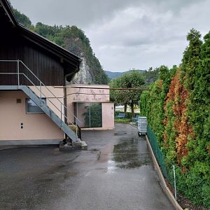 Volière Stansstad - budgerigar aviary