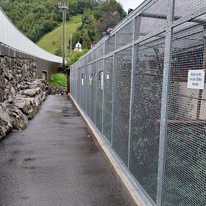 Volière Stansstad - Parrot & turaco row