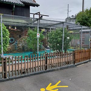 Volière Stansstad - Wetland aviary