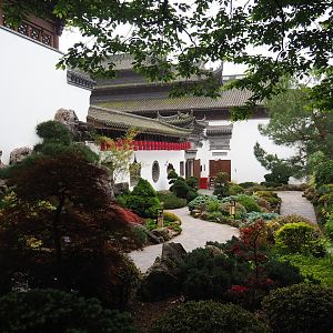 Chinese gardens, 2023-05-15