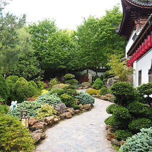 Chinese gardens, 2023-05-16