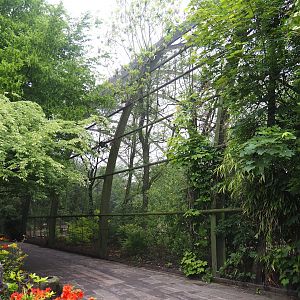 Cathedral aviary/Large walk-through aviary exterior, 2023-05-15