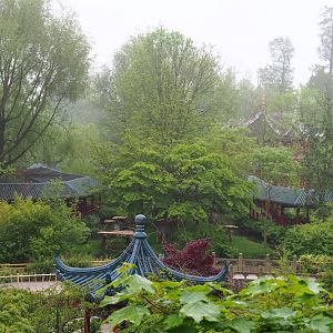 Lower red panda exhibit and Chinese viewing corridor seen from the hillside red panda exhibit viewing area, 2023-05-15