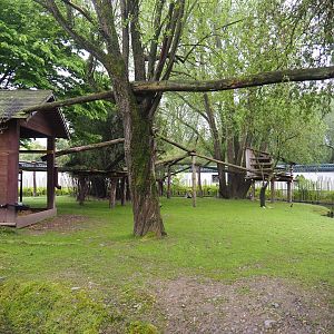 Part of Bharal and Binturong exhibit, 2023-05-16
