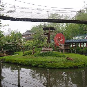 Central Chinese goral, Southern yellow-cheeked gibbon and Siberian crane exhibit, 2023-05-15
