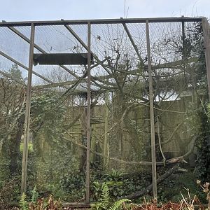 Emperor tamarin exhibit