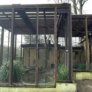 Mixed aviary