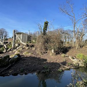 Black and gold howler monkey and Visayan warty pig exhibit