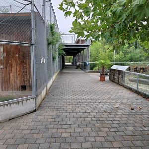 Toni's zoo Rothenburg - Central lane